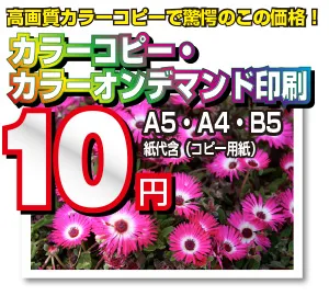 高品質カラーコピー・プレゼン資料印刷｜格安オンデマンド印刷