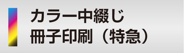 カラー中綴じ冊子印刷（特急）